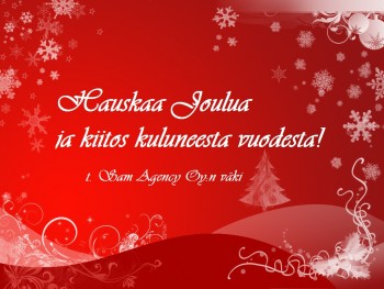 Hyvää Joulua 2013!